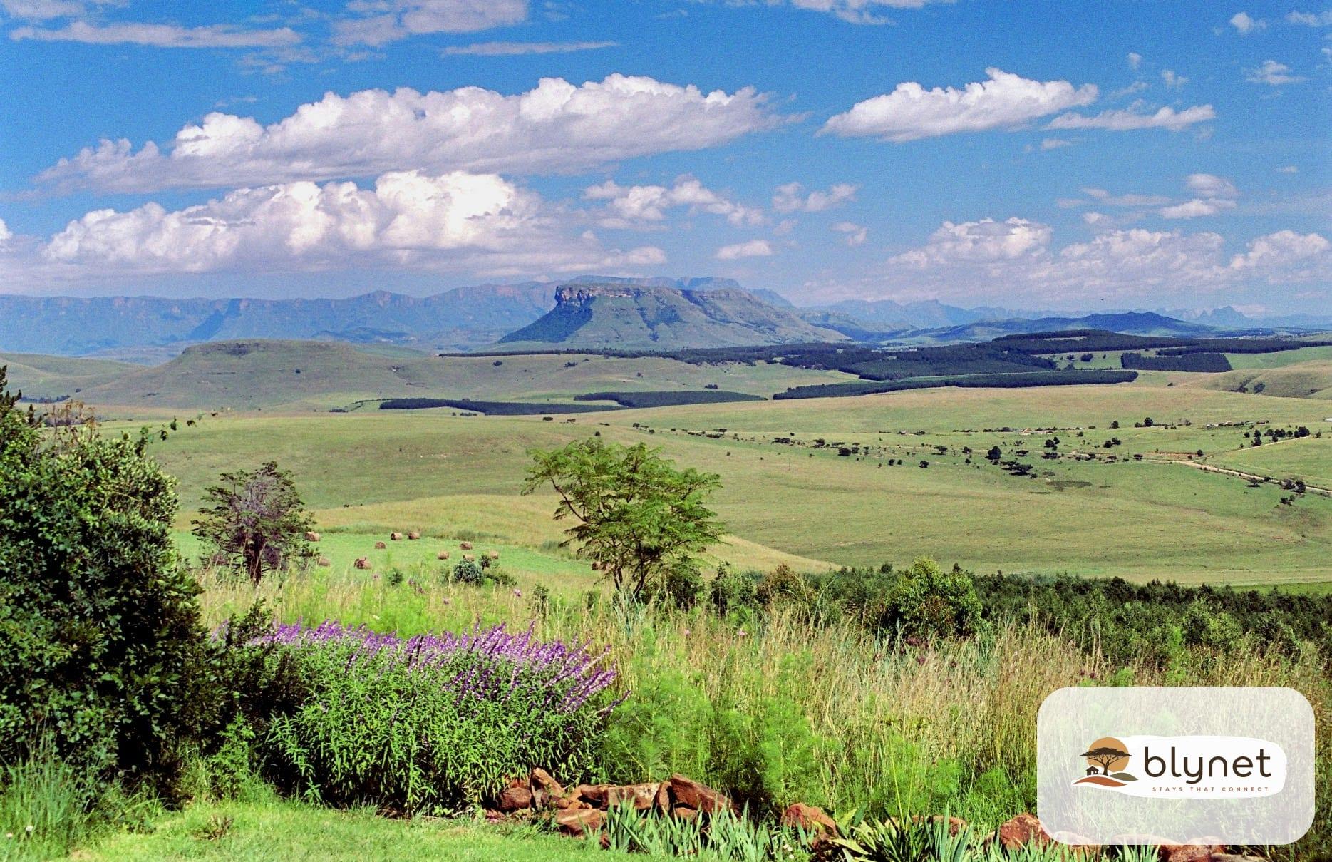 Antbear Drakensberg Lodge thumbnail 9