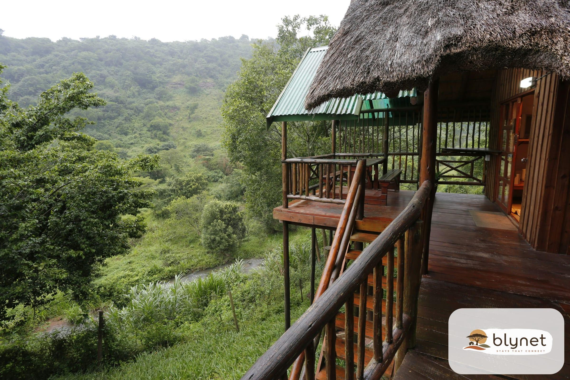 The Treehouse River Lodge image 1