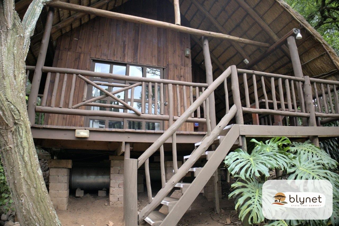 The Treehouse River Lodge thumbnail 15