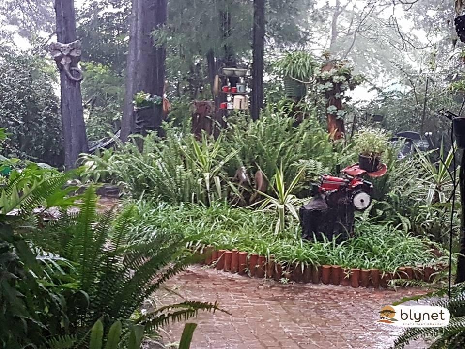 Die Boskombuis and Guest House thumbnail 5
