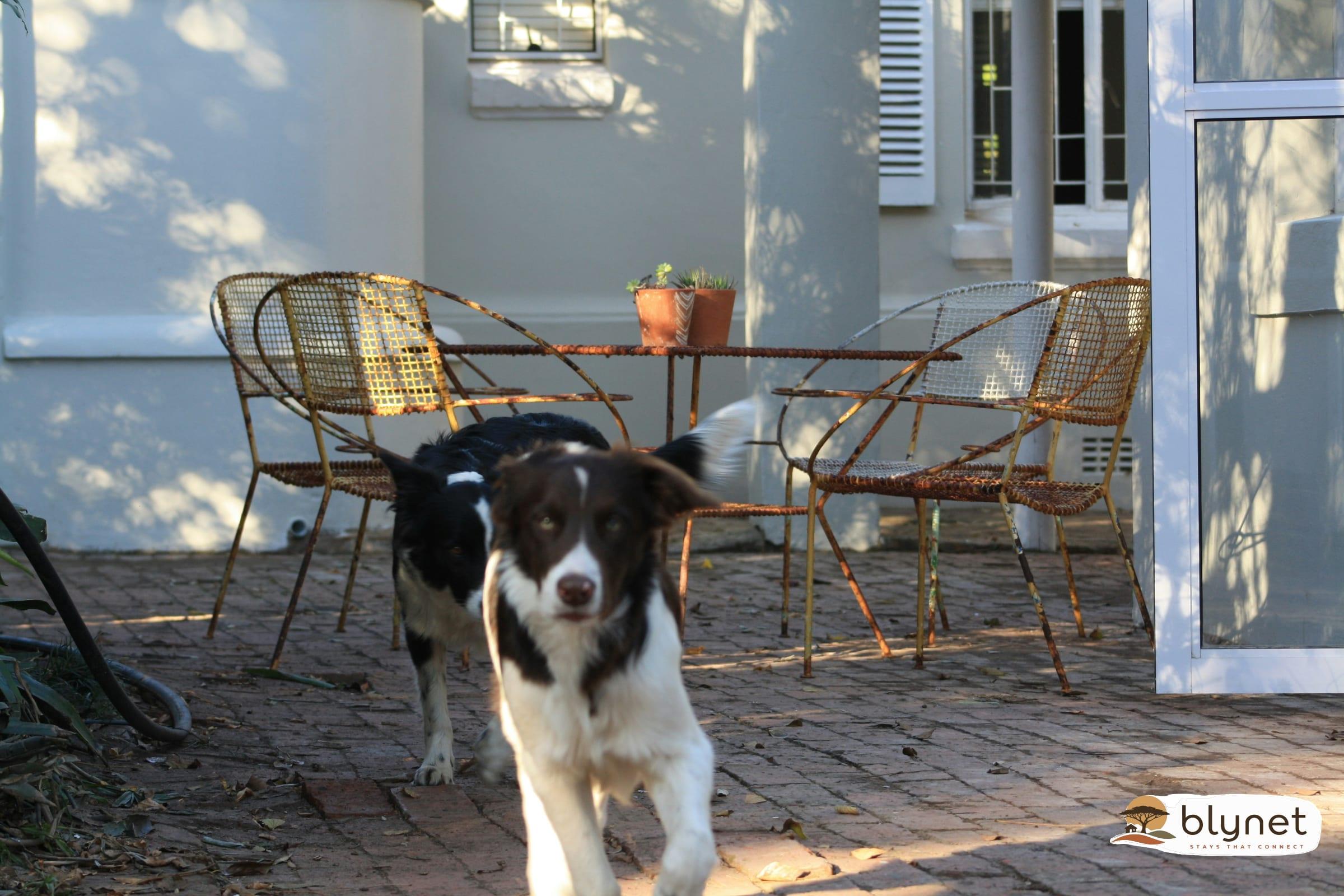 Sarah's Place - George thumbnail 24