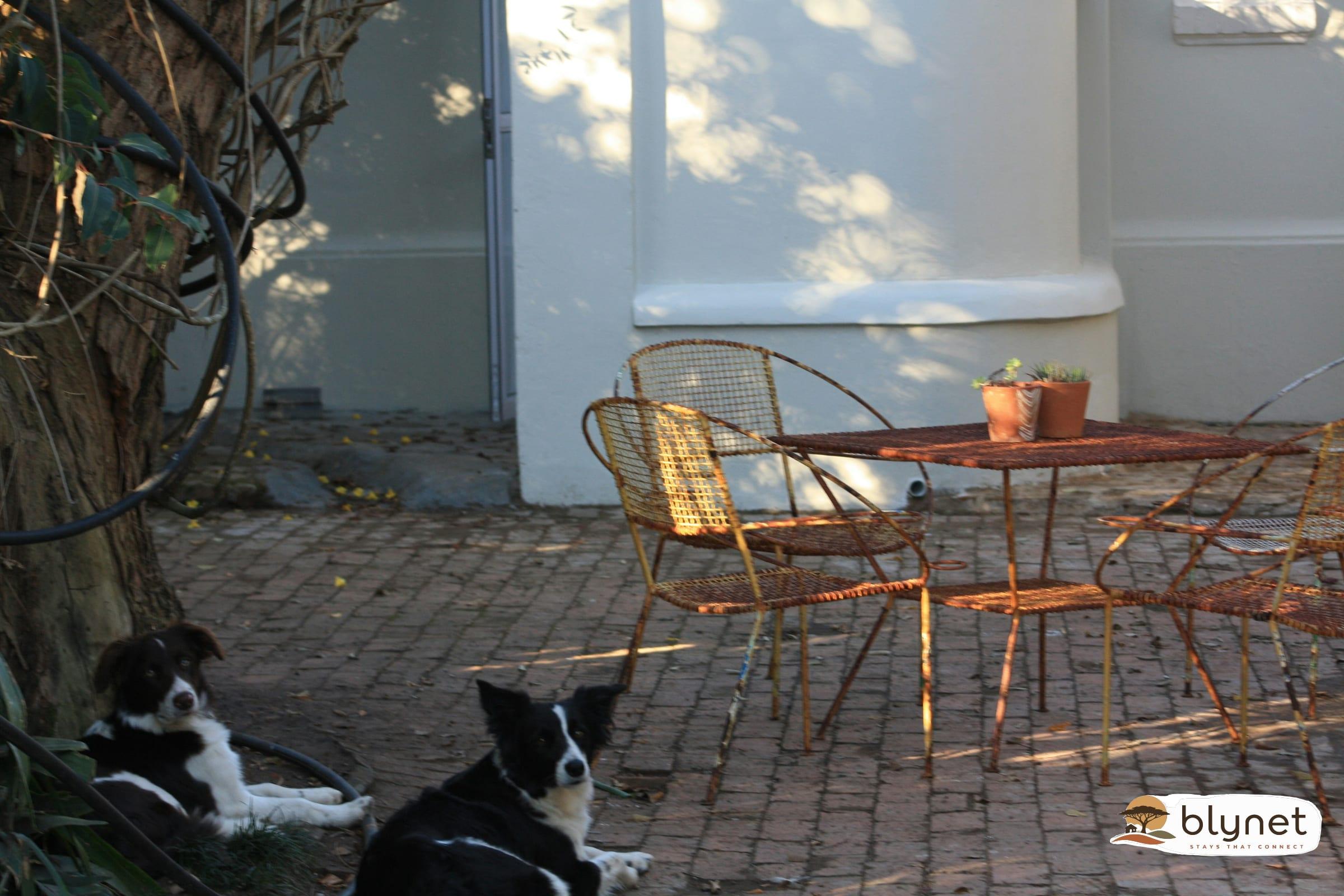 Sarah's Place - George thumbnail 23