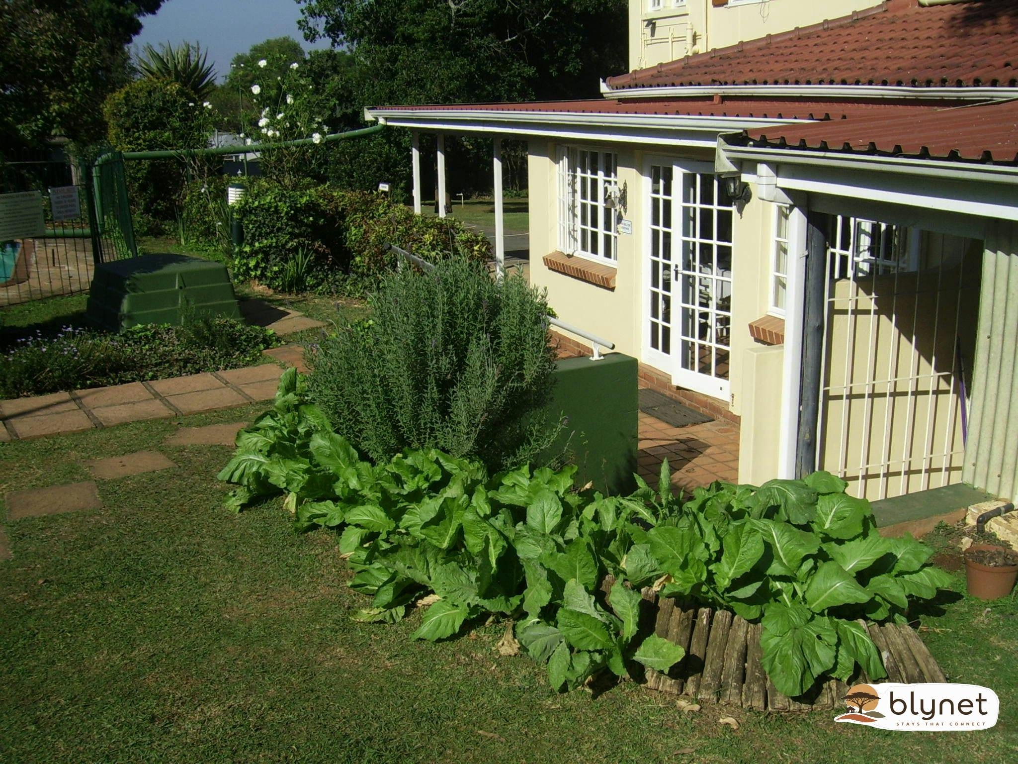 Nutmeg Guesthouse thumbnail 3