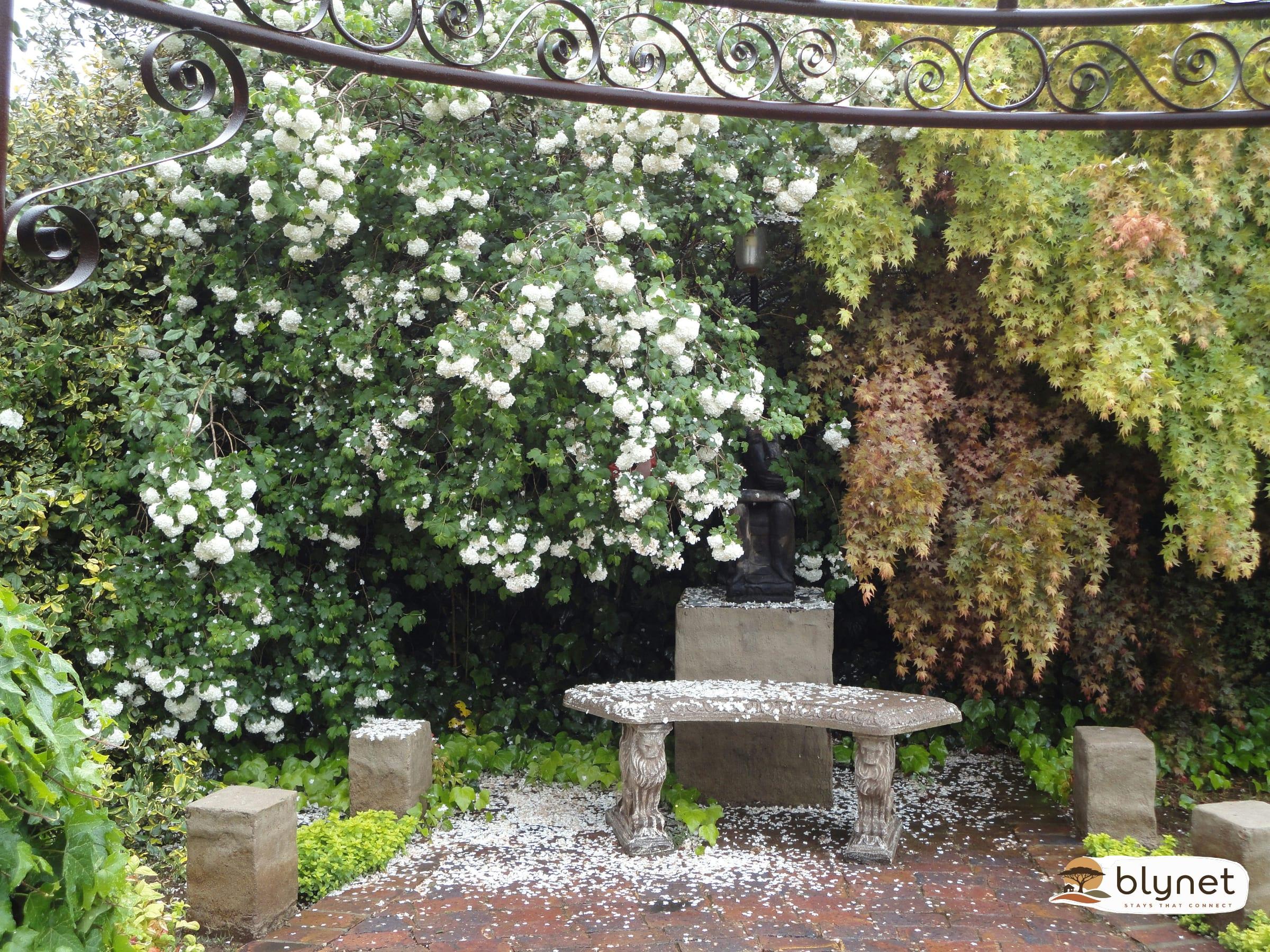 Fox Hill Guest House thumbnail 8