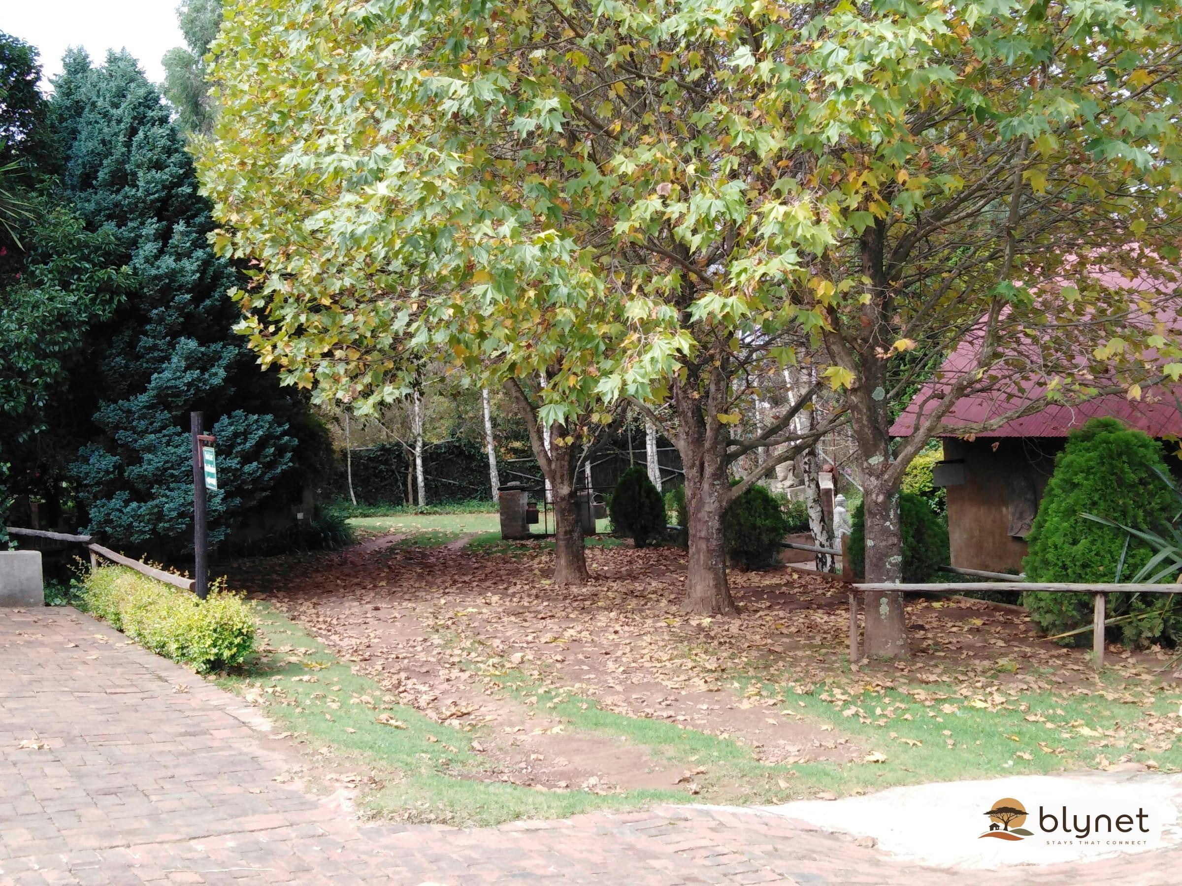 Fox Hill Guest House thumbnail 12