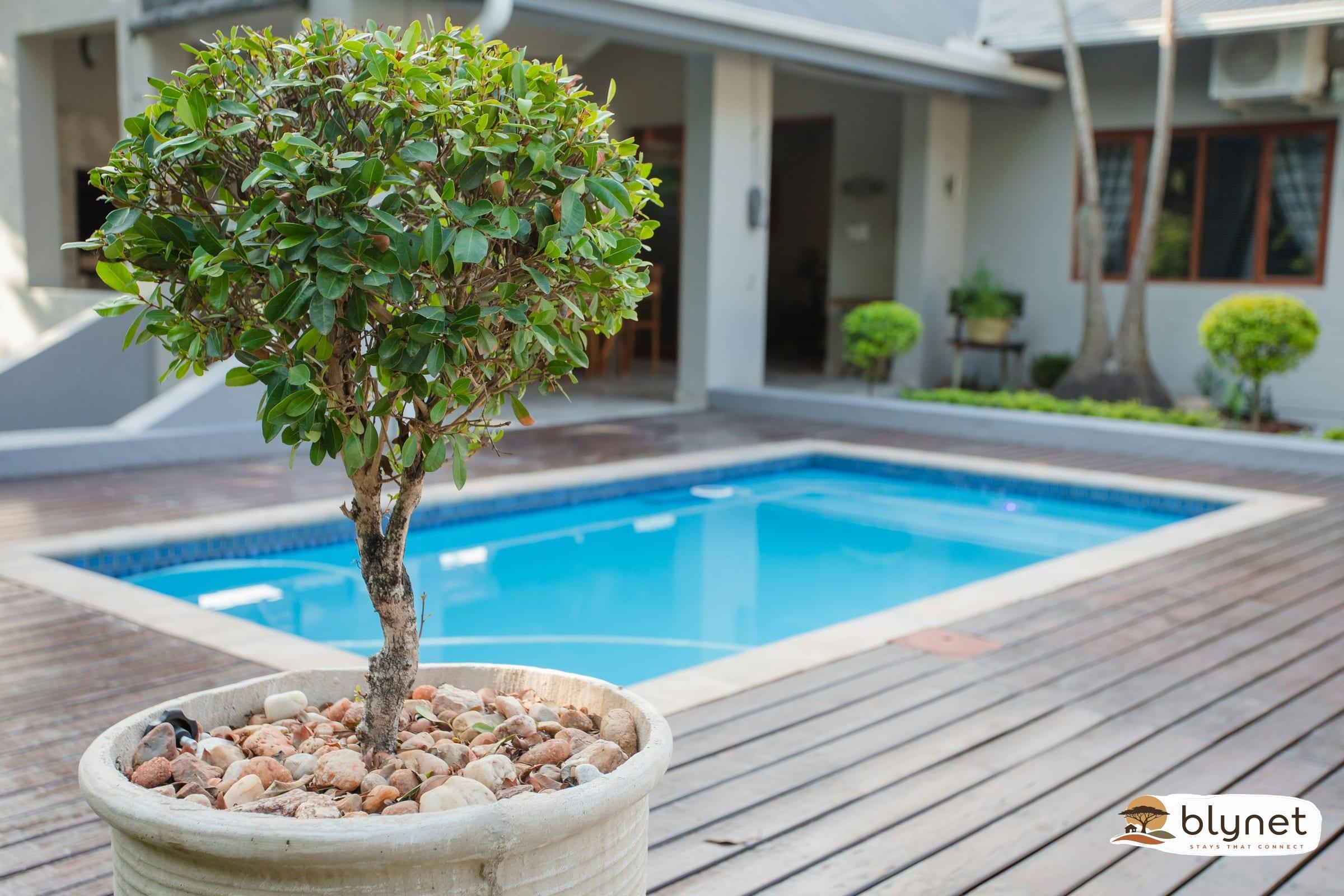 Vinique Guesthouse thumbnail 3