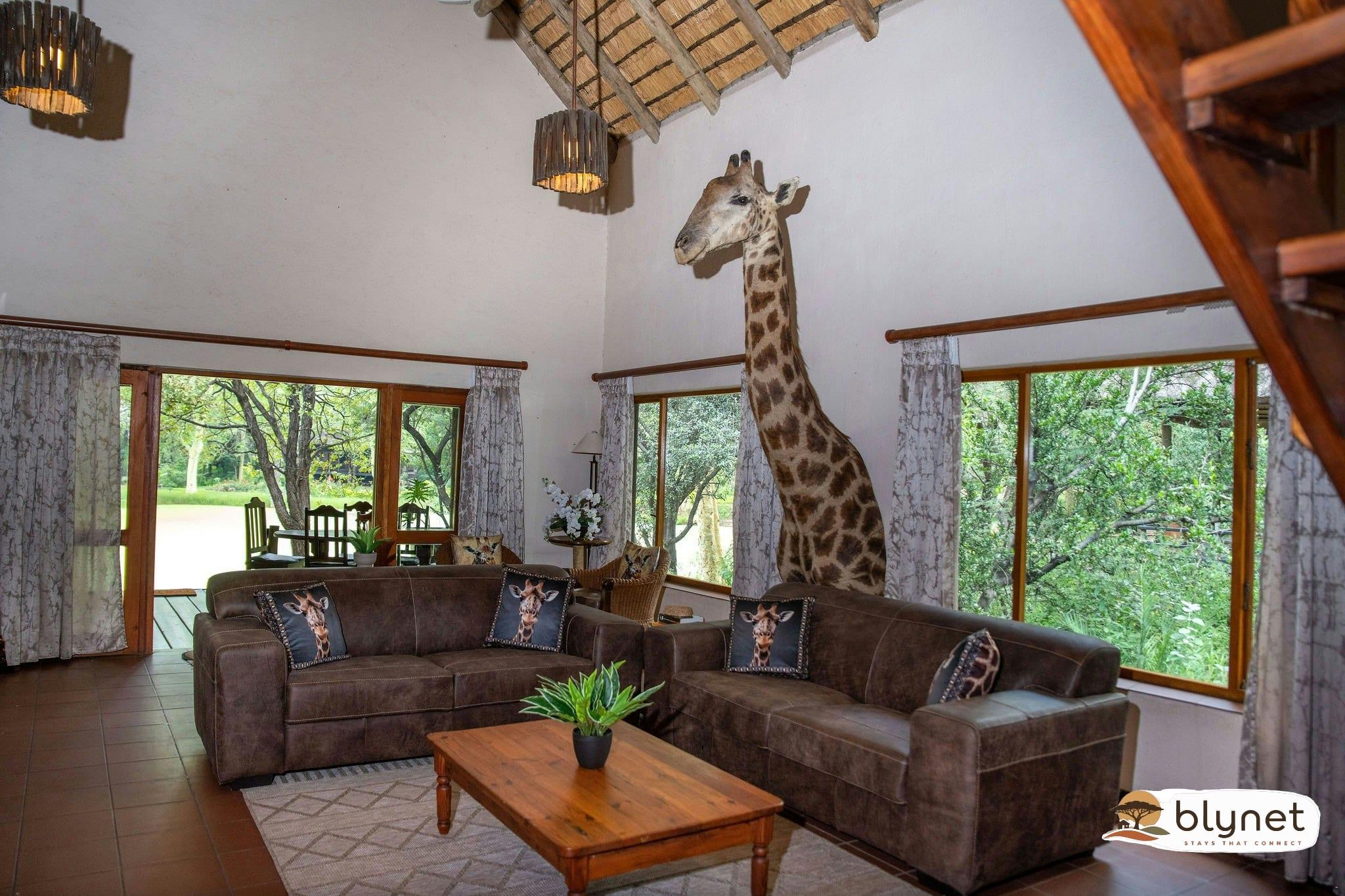 Lulu Safaris on Kruger thumbnail 17