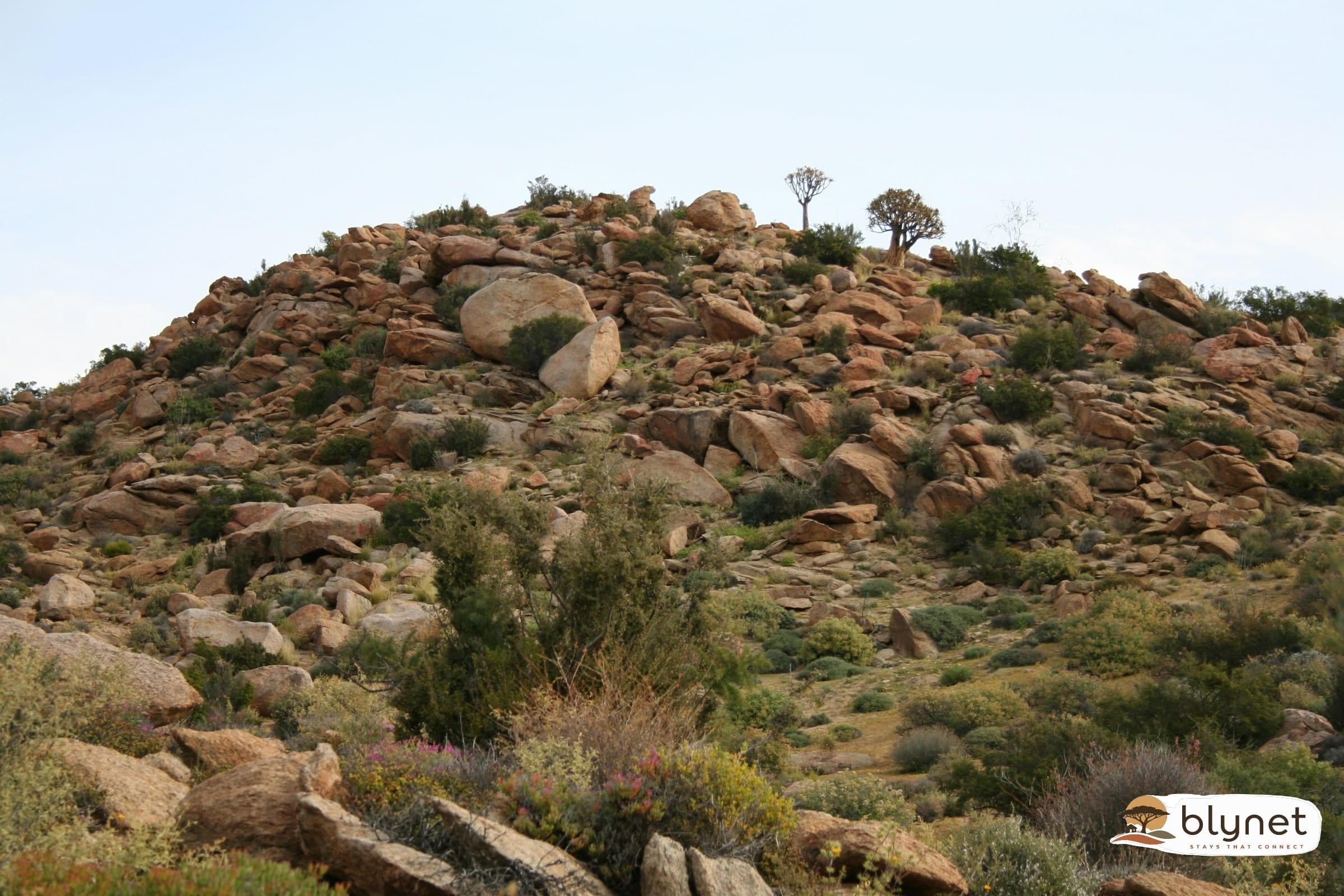 Brandrivier Self Catering Accommodation thumbnail 24