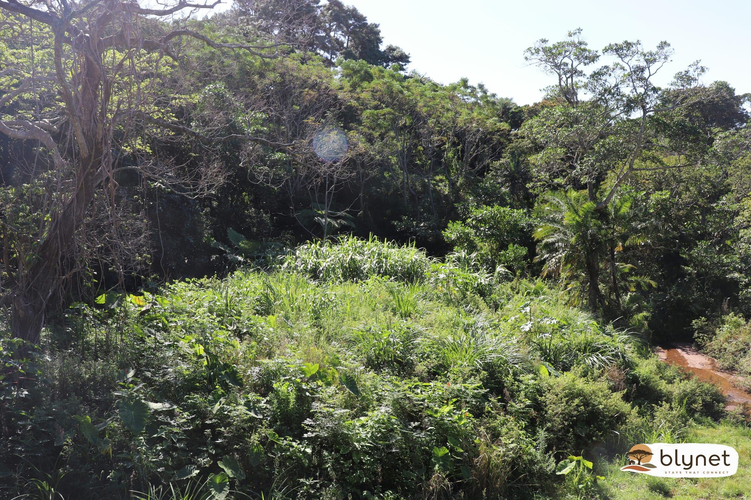 Anerley Garden Park Resort thumbnail 9