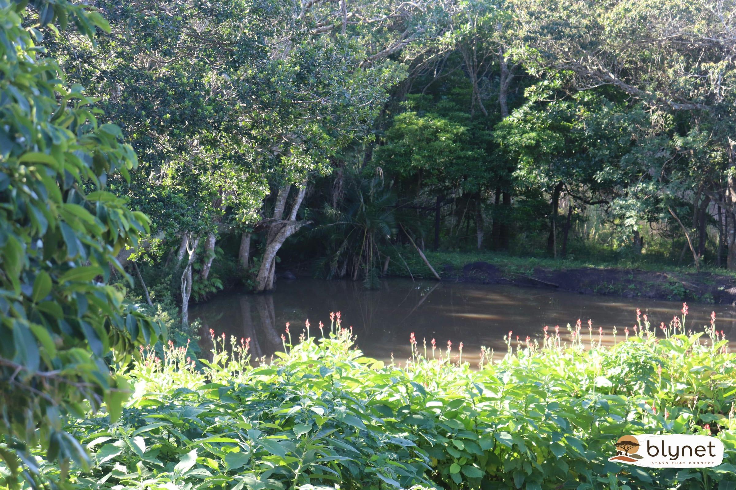 Anerley Garden Park Resort thumbnail 10