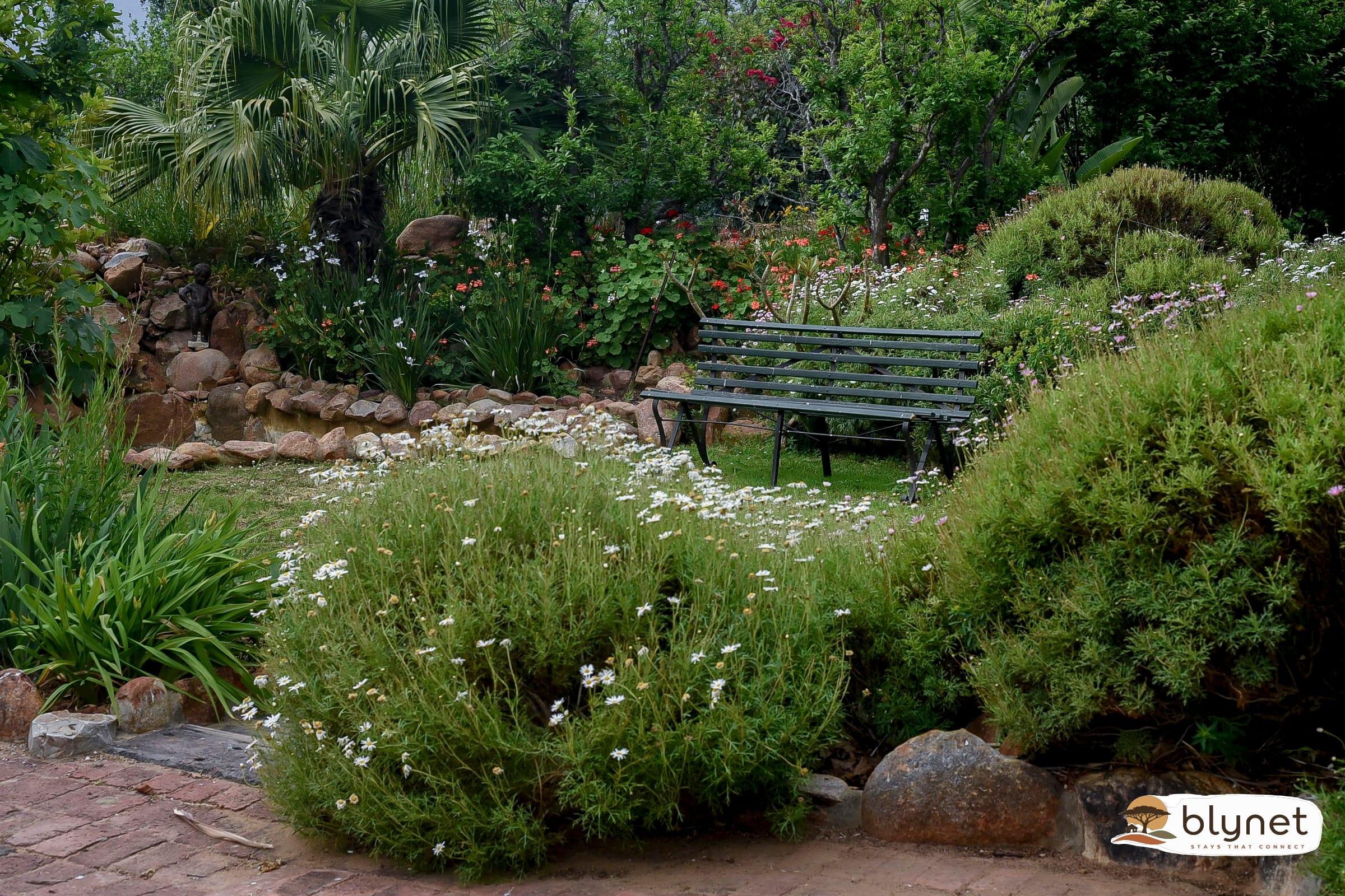 Green Olive Guesthouse - King Bed - wheelchair friendly thumbnail 15