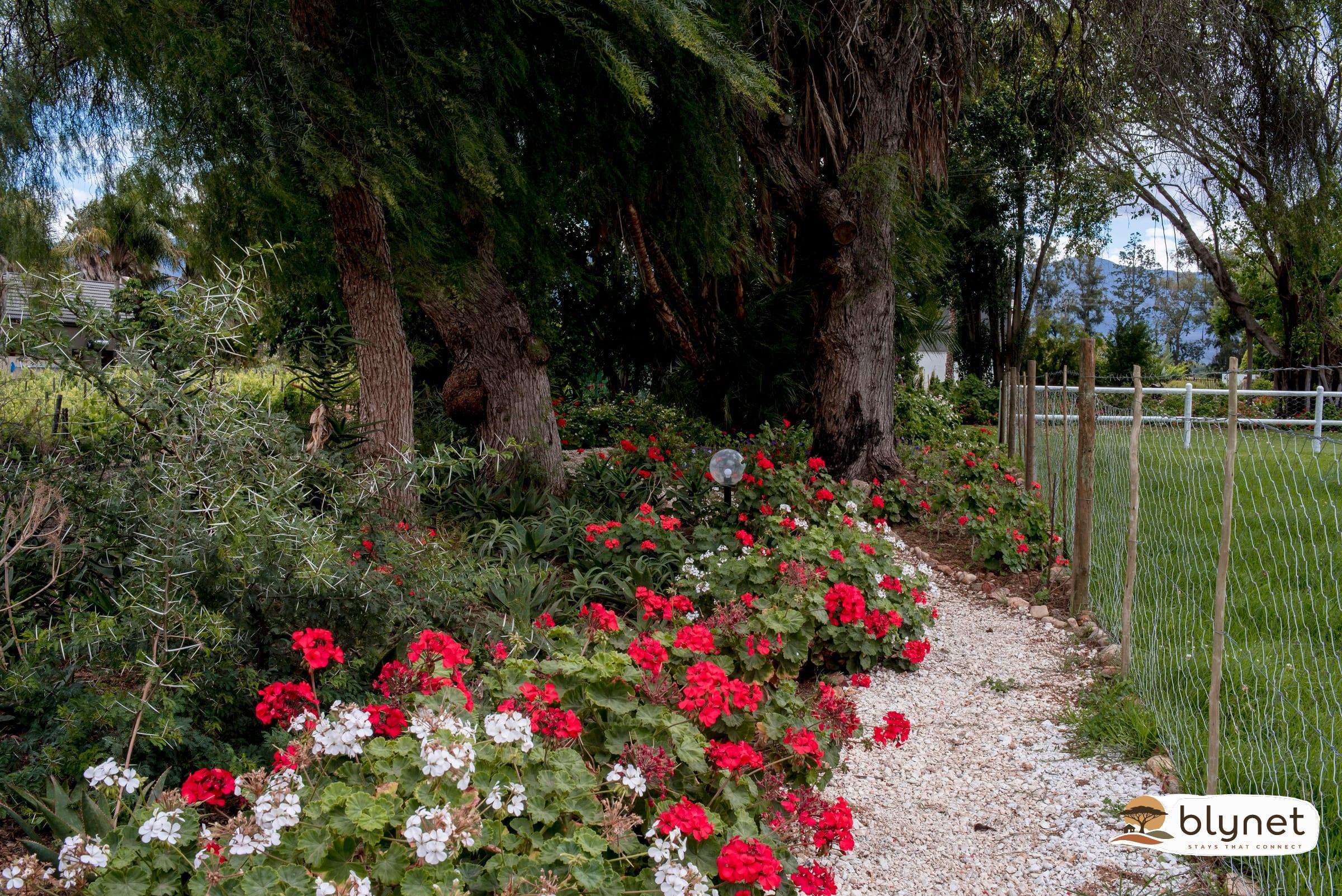 Green Olive Guesthouse - King Bed-en-suite - Aida thumbnail 5