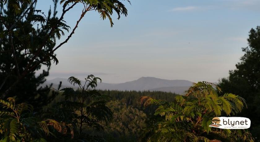 Woodlands Self-Catering thumbnail 10