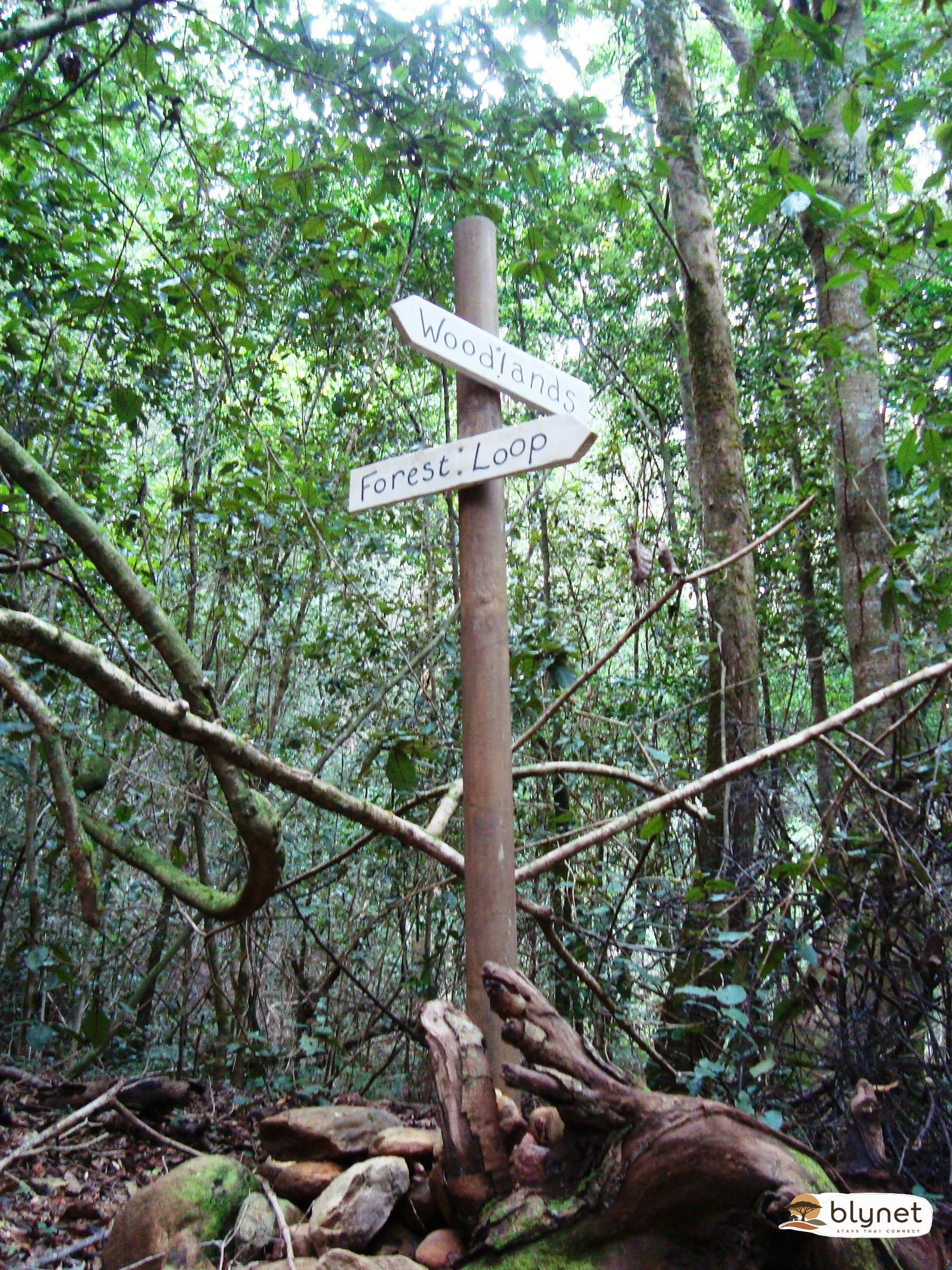 Woodlands Self-Catering thumbnail 11