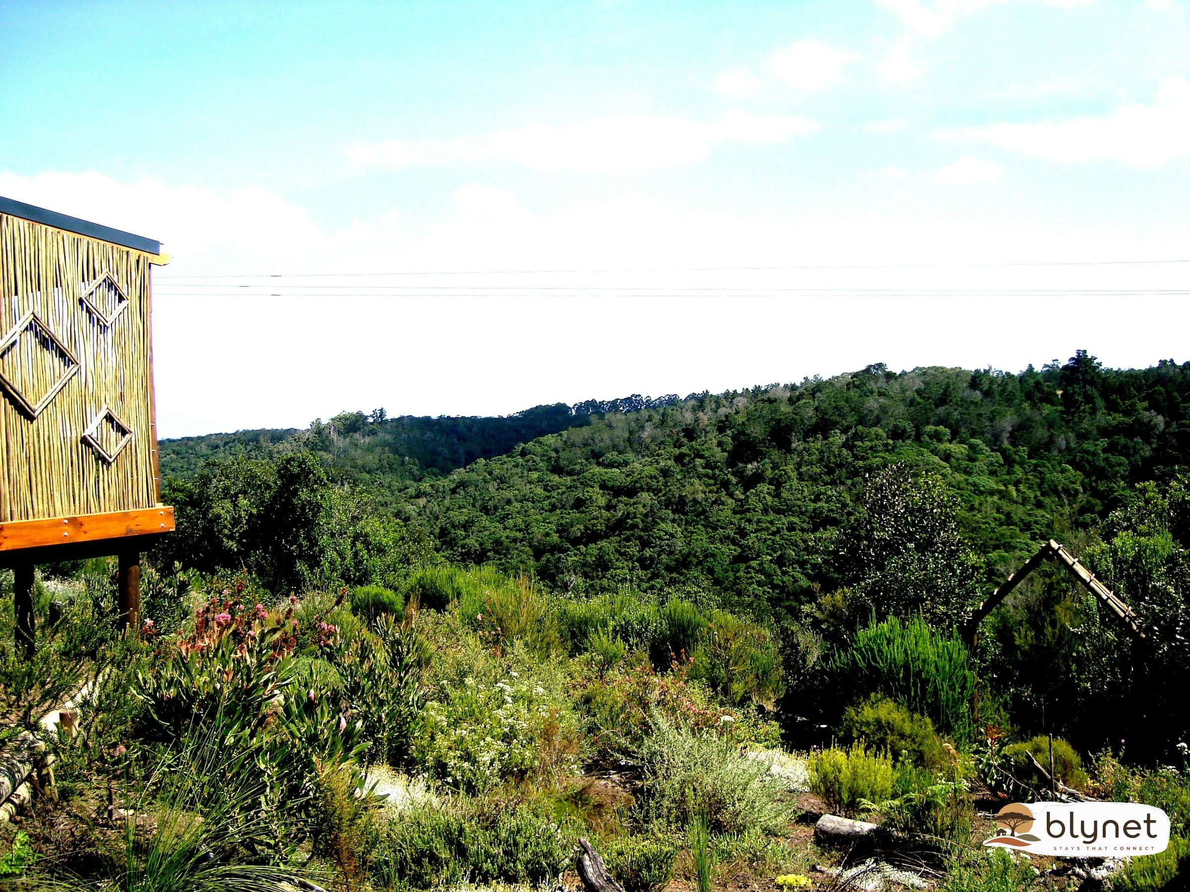 Woodlands Self-Catering thumbnail 12