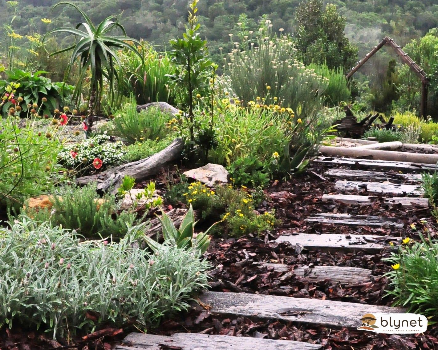 Woodlands Self-Catering thumbnail 7