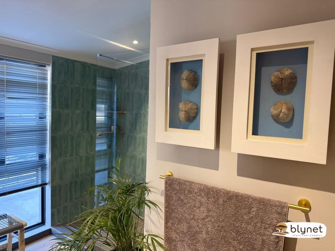 Durbanville self-catering apartments - Vygeboom Studio thumbnail 5