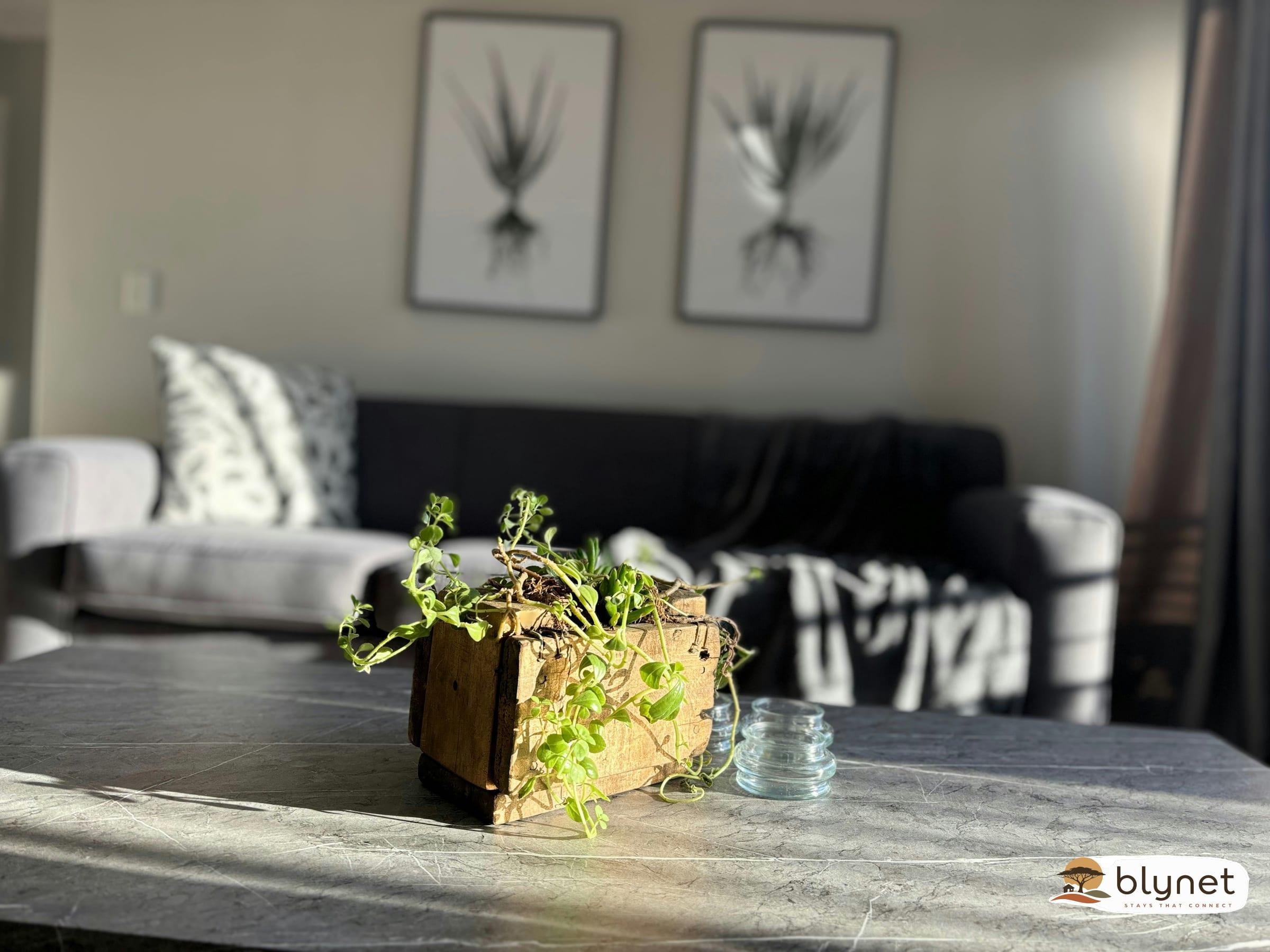 Durbanville self-catering apartments - 56 D'Urban Ridge thumbnail 2