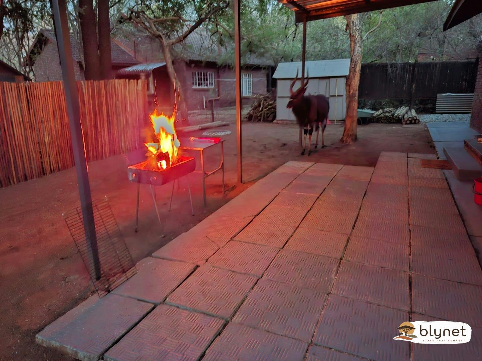 Die Boshuis thumbnail 24