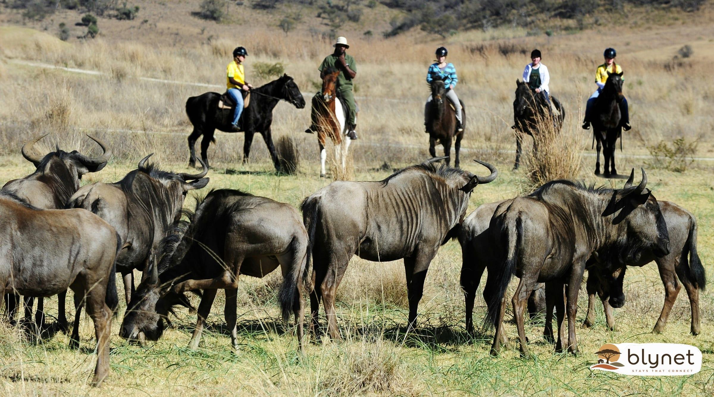 Komati Gorge Lodge thumbnail 5