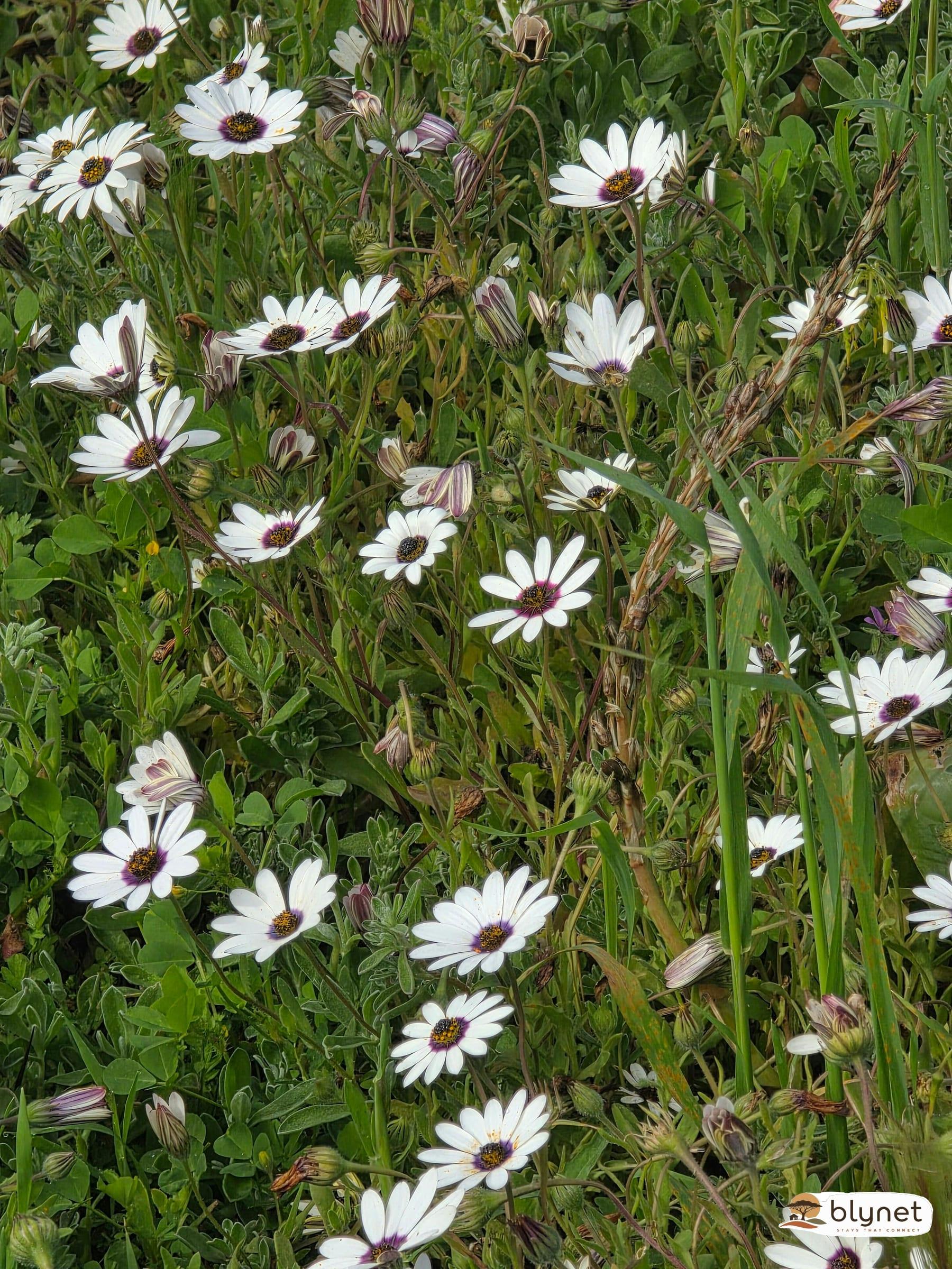Unit 2 @ Black Eagles Rest thumbnail 40