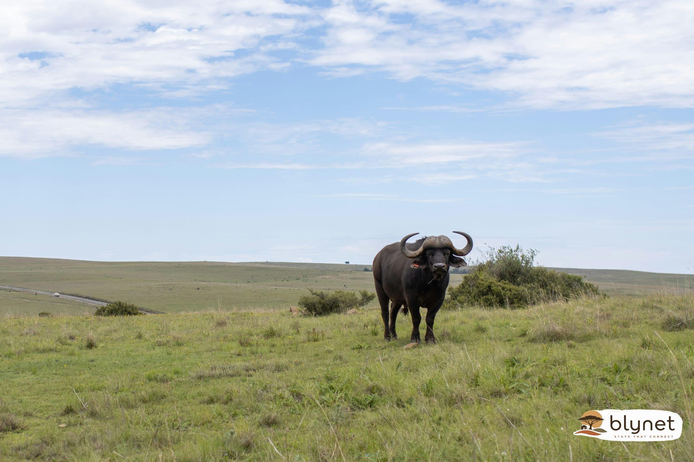 Mooirand Damhuis thumbnail 26