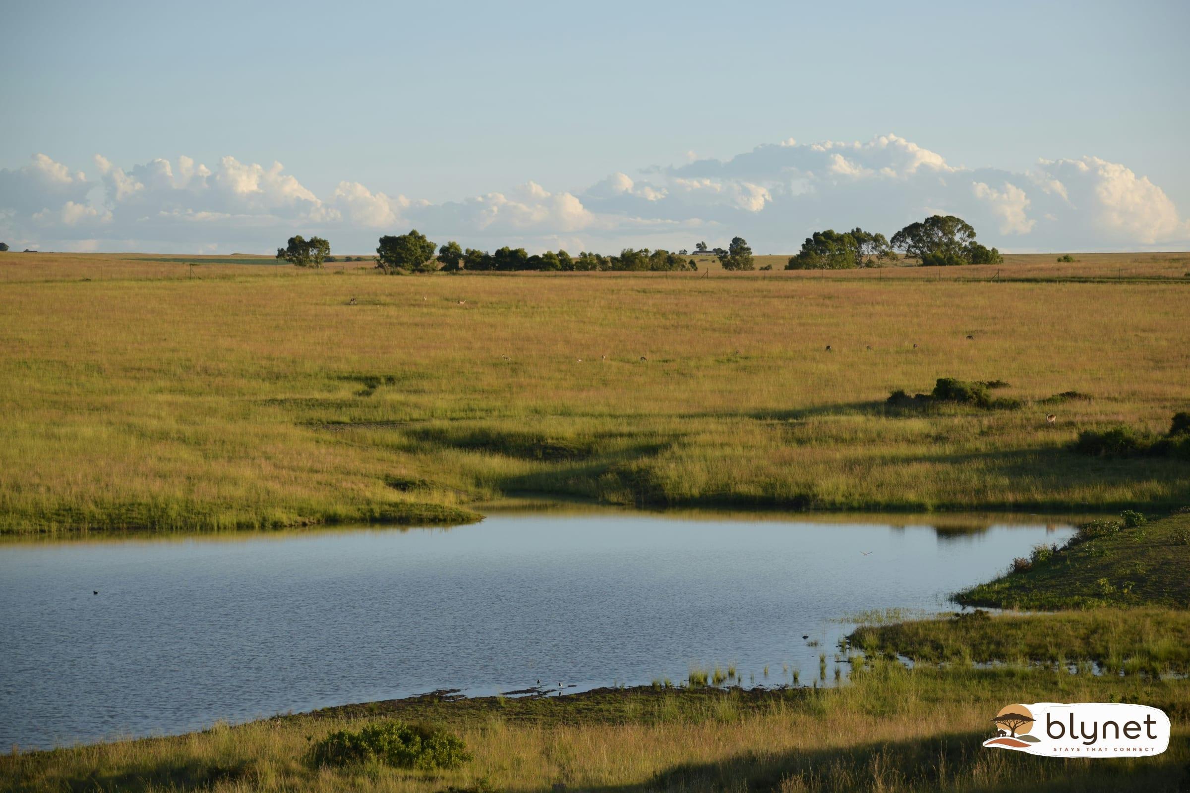 Mooirand Damhuis thumbnail 27