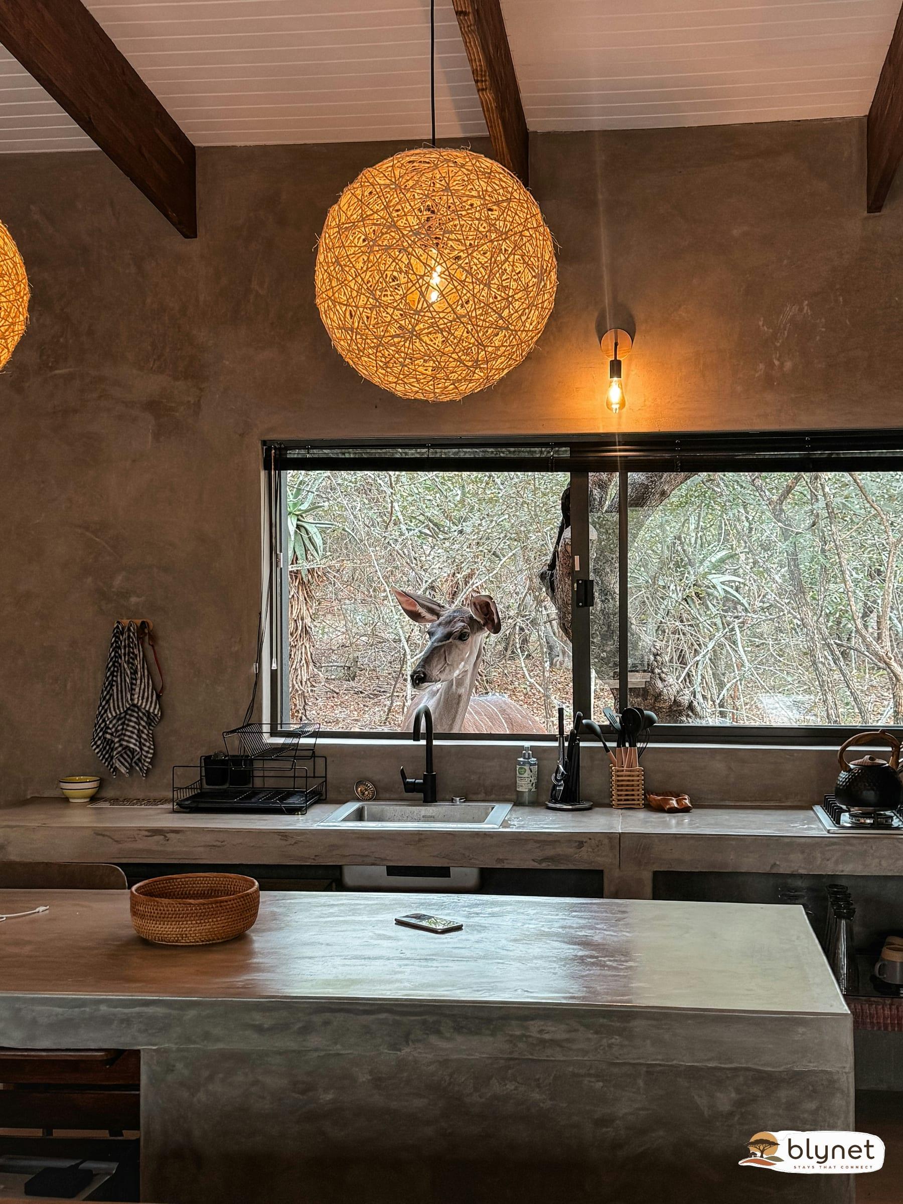 Shongololo Bush Villa thumbnail 33