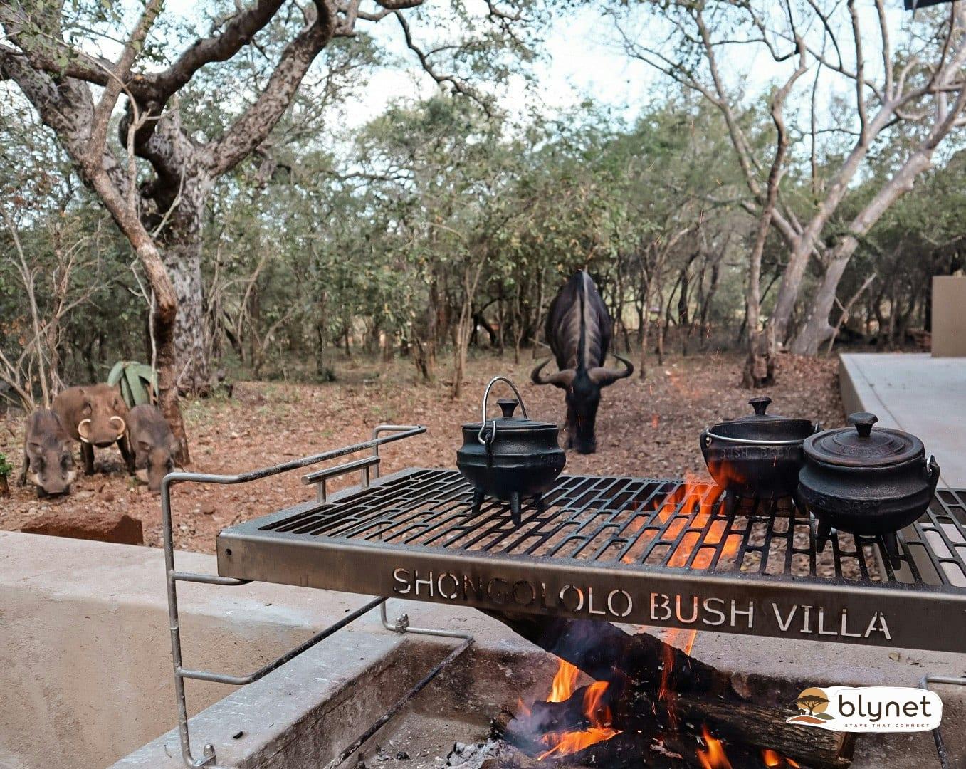 Shongololo Bush Villa thumbnail 35