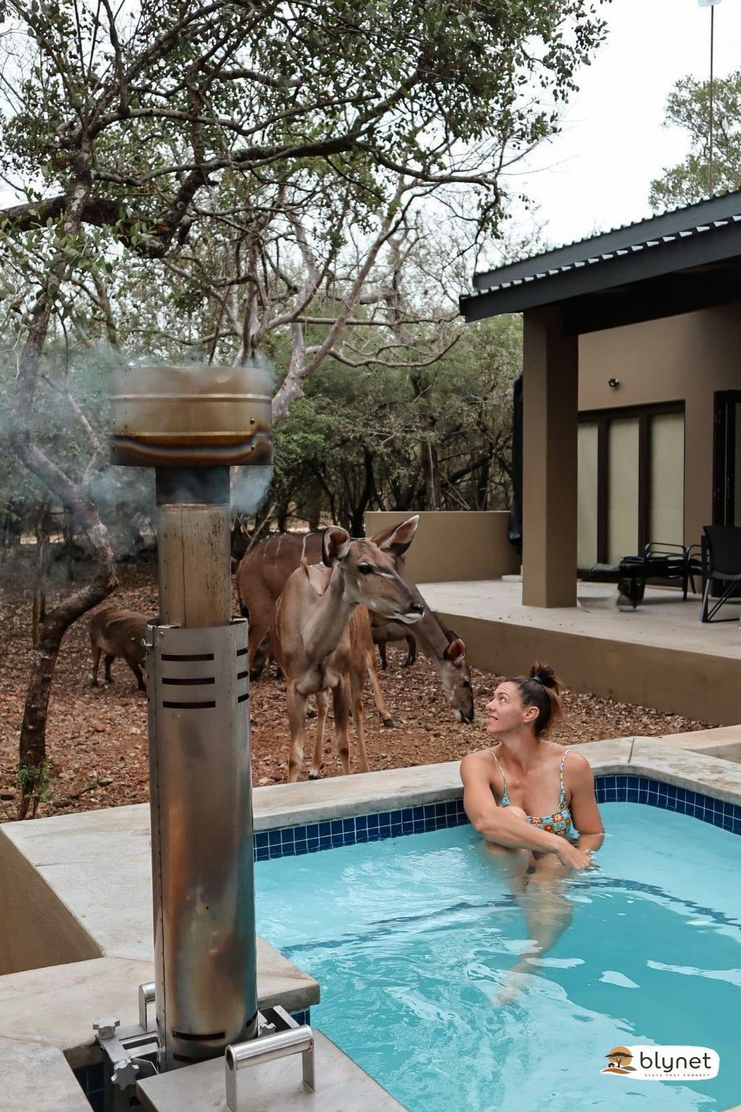 Shongololo Bush Villa thumbnail 36