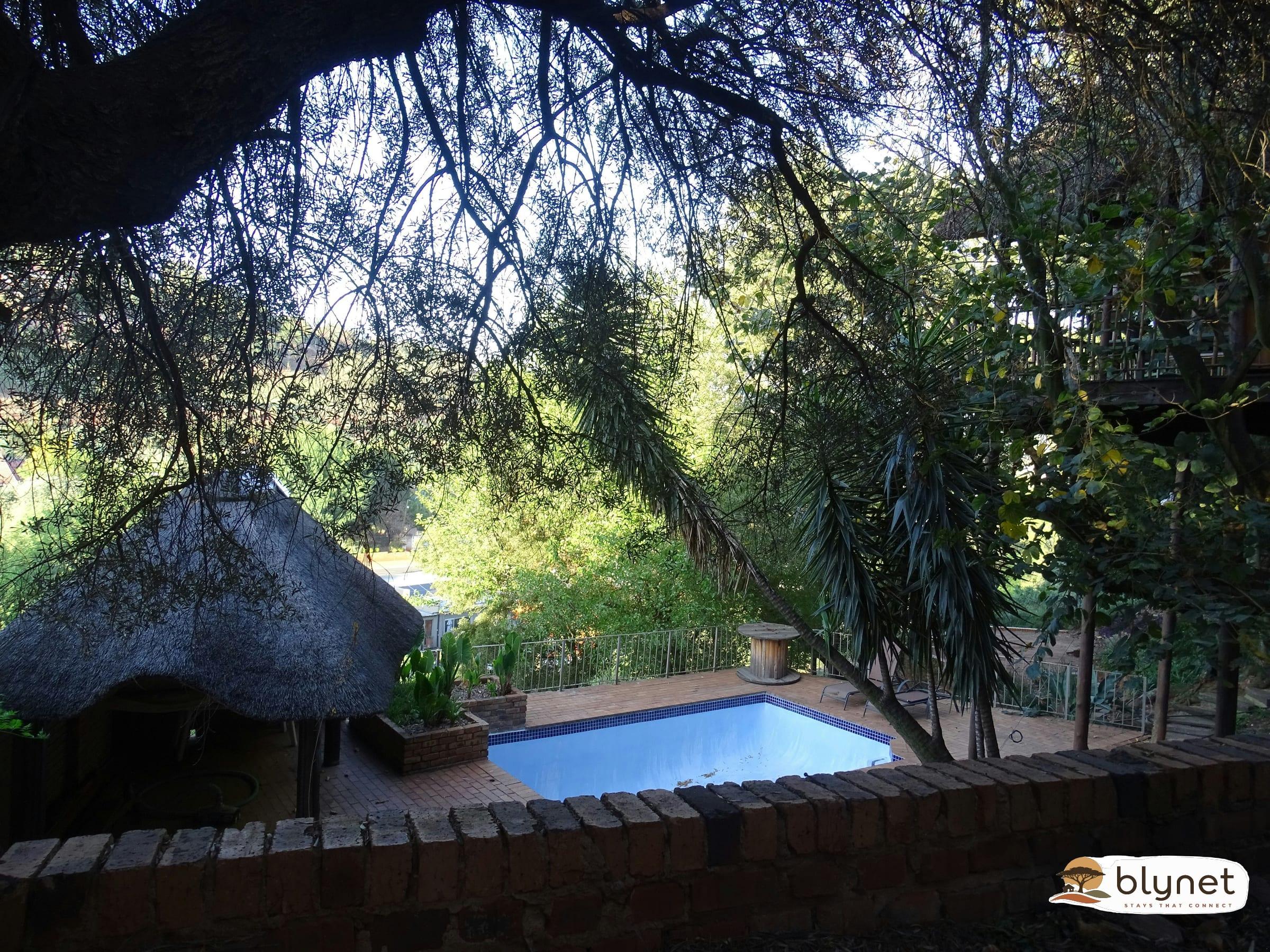 Silver Tree Guest Room thumbnail 23