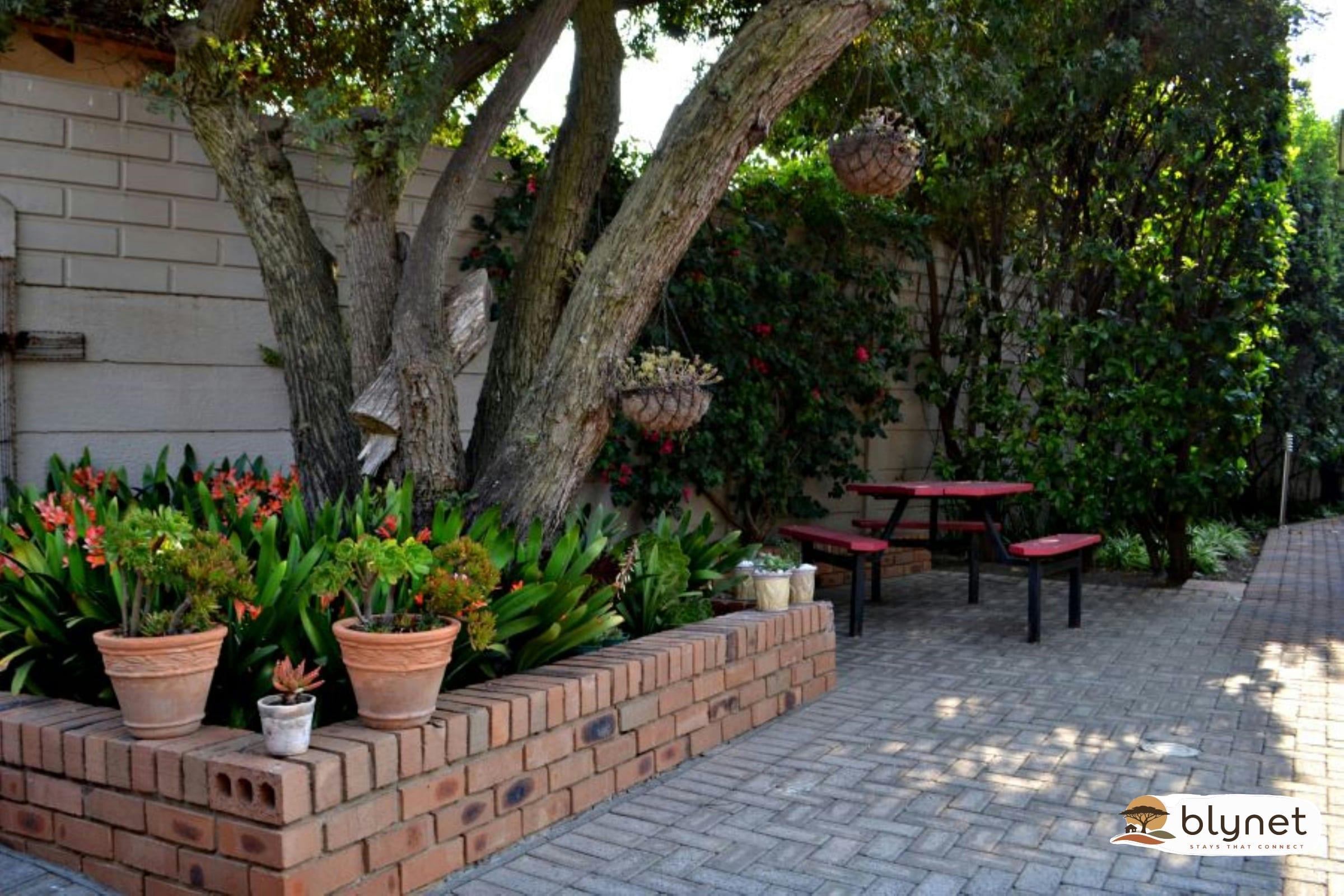 Bokmakierie Gastehuis Emalahleni Red thumbnail 6