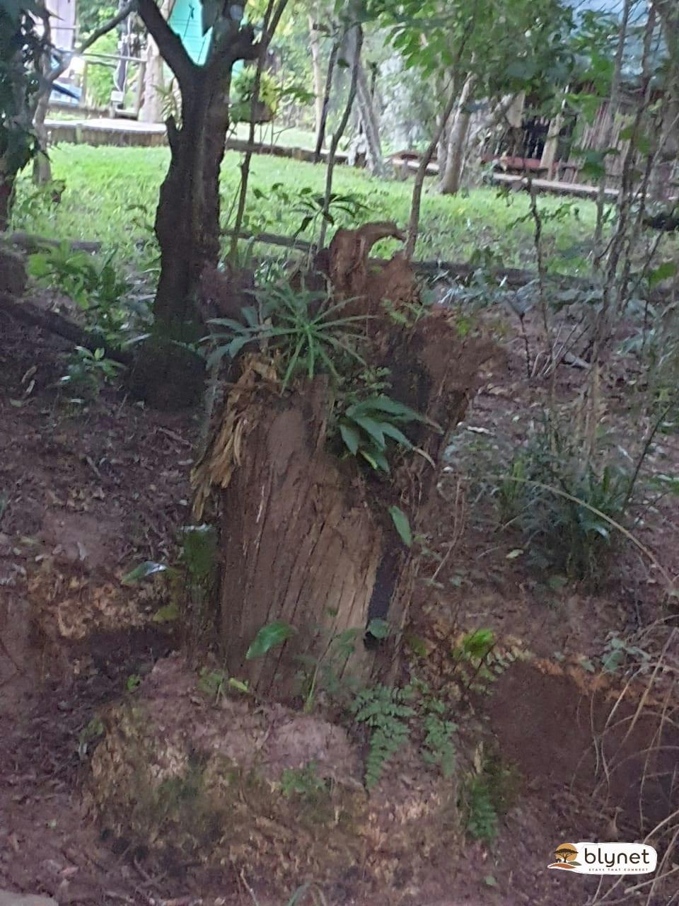 Thobeka Lodge thumbnail 11
