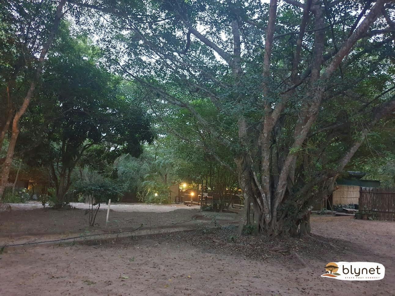 Thobeka Lodge thumbnail 25