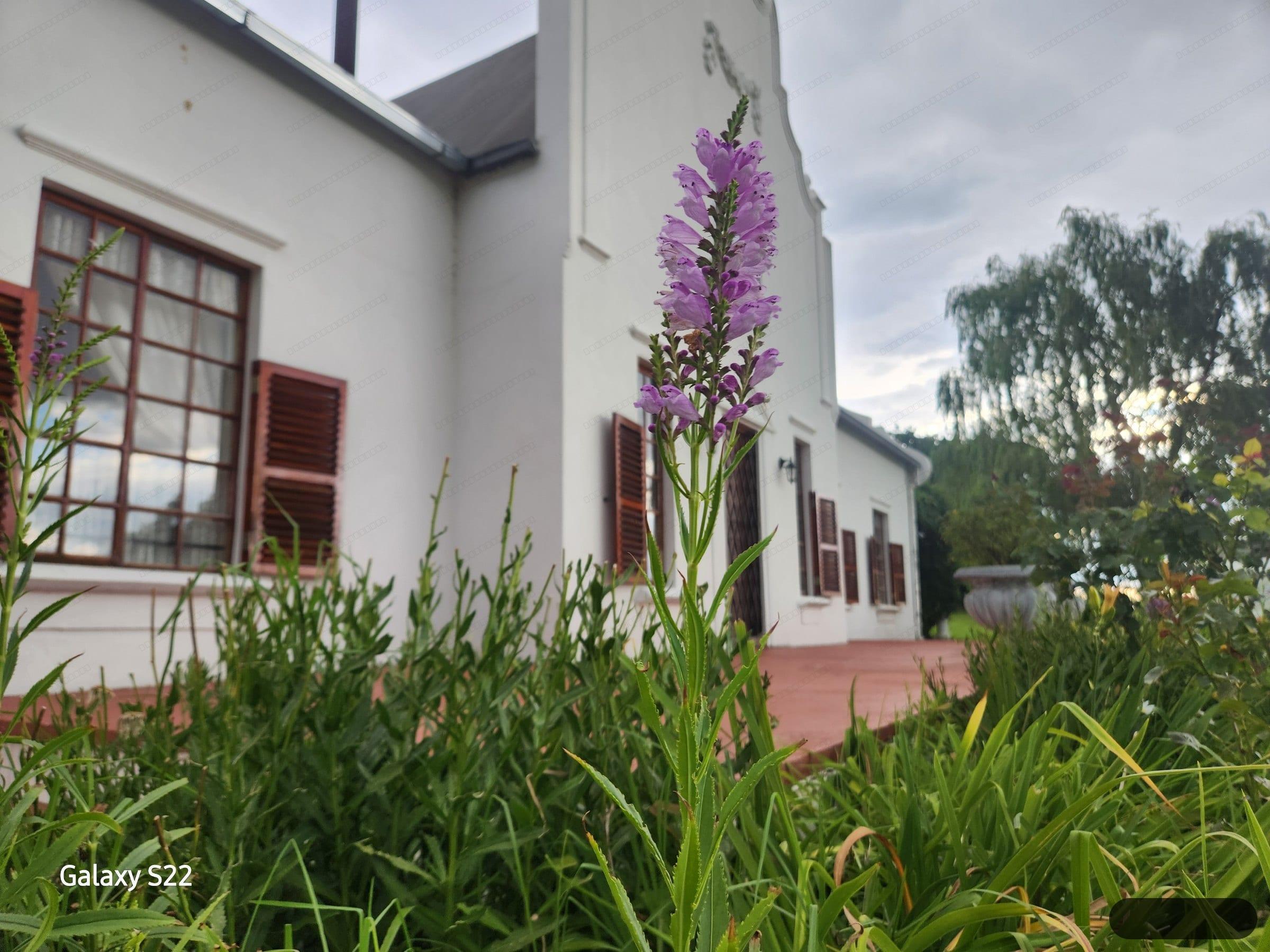 De Kleine Kaap Guesthouse thumbnail 35