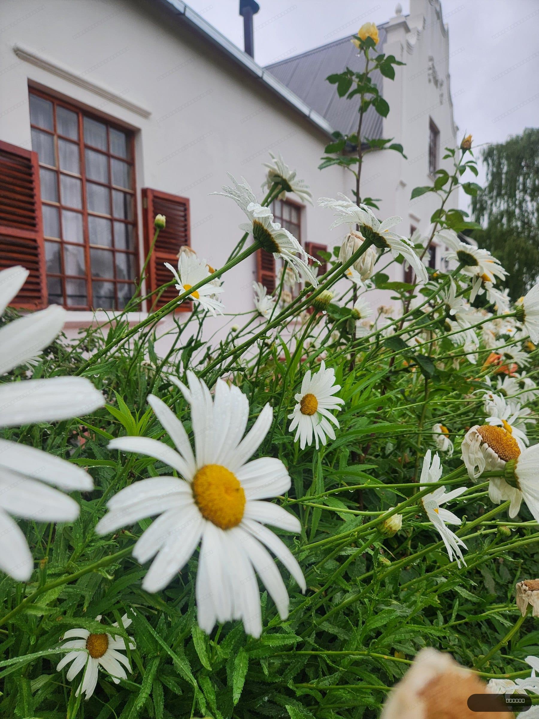 De Kleine Kaap Guesthouse thumbnail 2