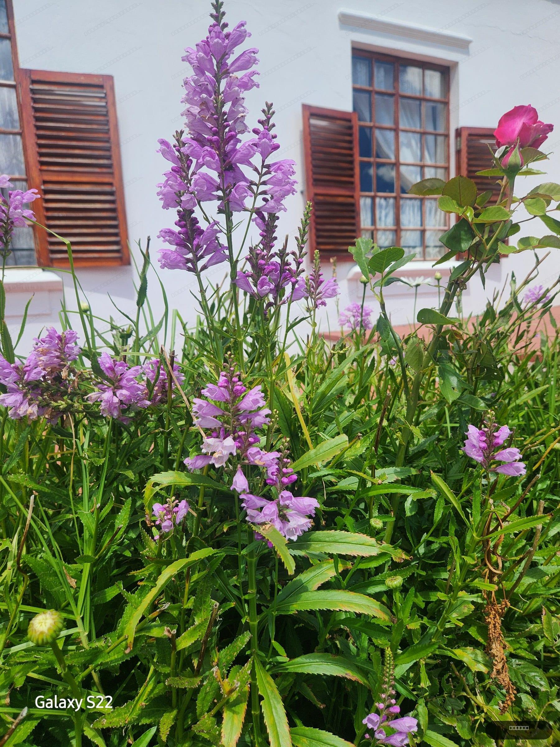 De Kleine Kaap Guesthouse thumbnail 37