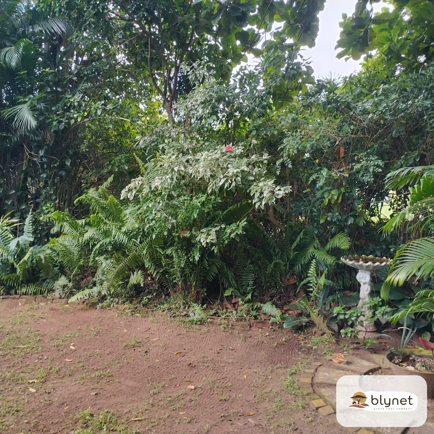 Beachwood Cottage's thumbnail 2