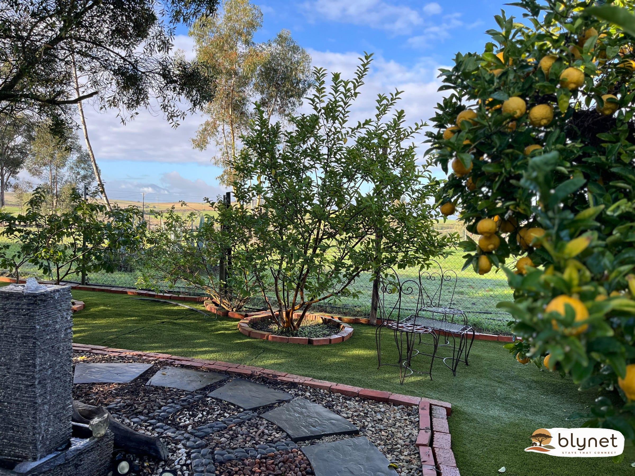 Hephzibah Inn Guest Farm thumbnail 32