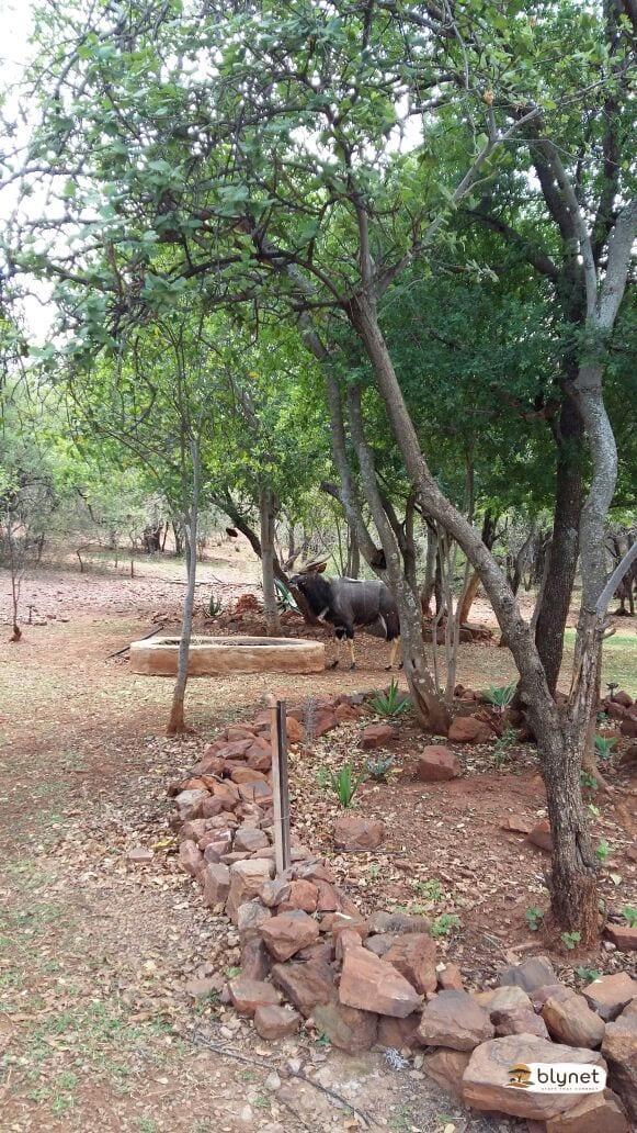 Mikama Bush Camp thumbnail 9