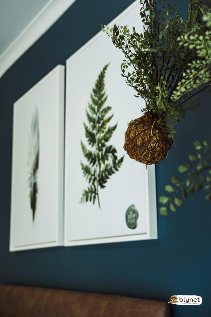 Pillow & Fern image 1