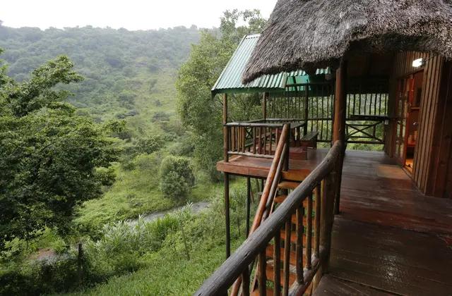The Treehouse River Lodge