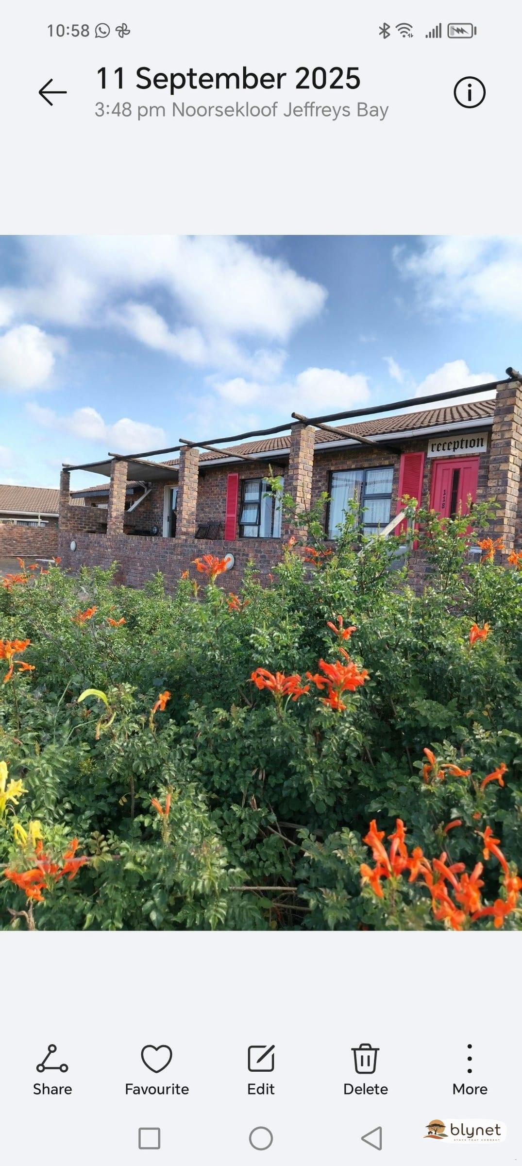 Mondu Guesthouse image 1