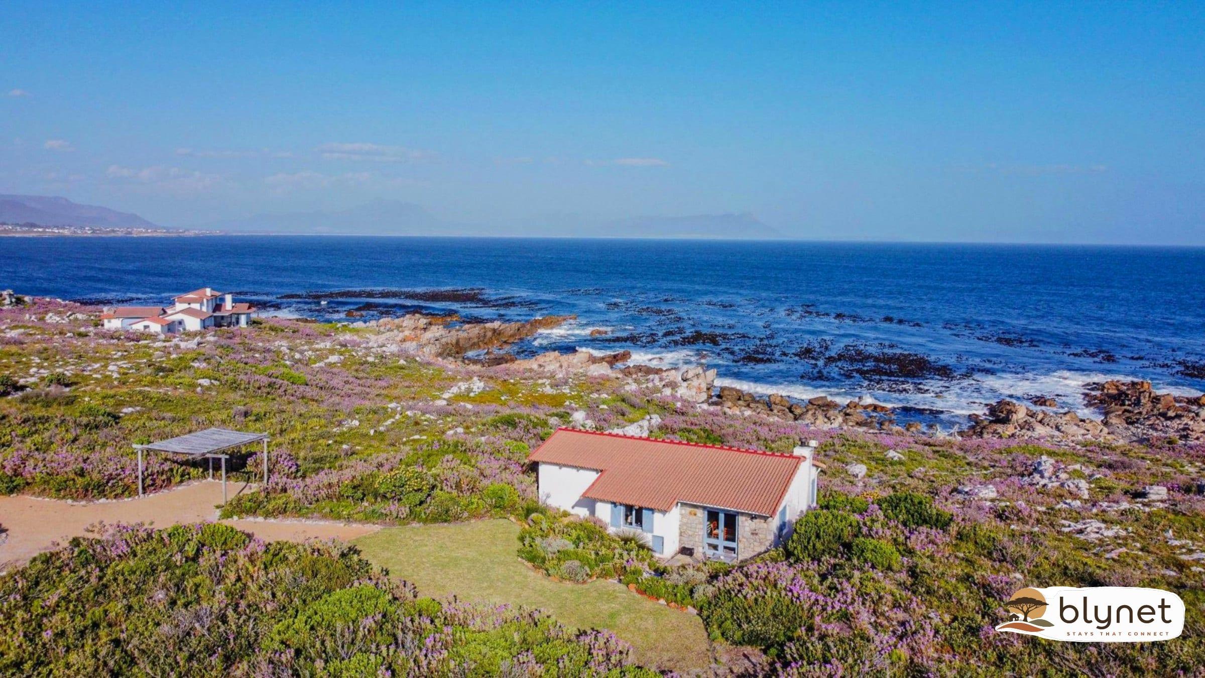 Seascape Cottage image 1